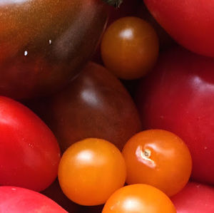 Meet your Posher, Angela